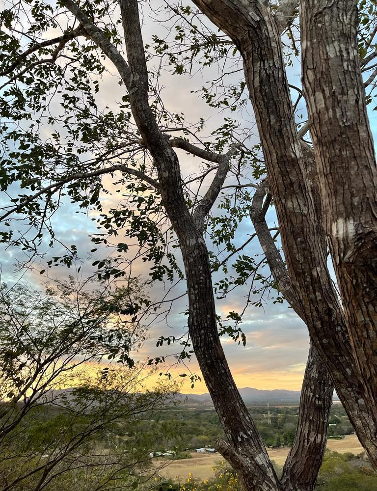 Homes for sale in Santa Cruz Costa Rica