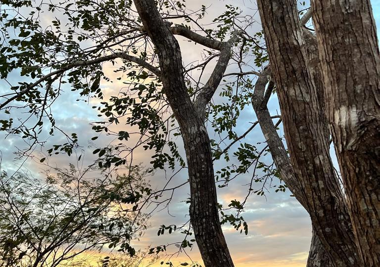 Homes for sale in Santa Cruz Costa Rica