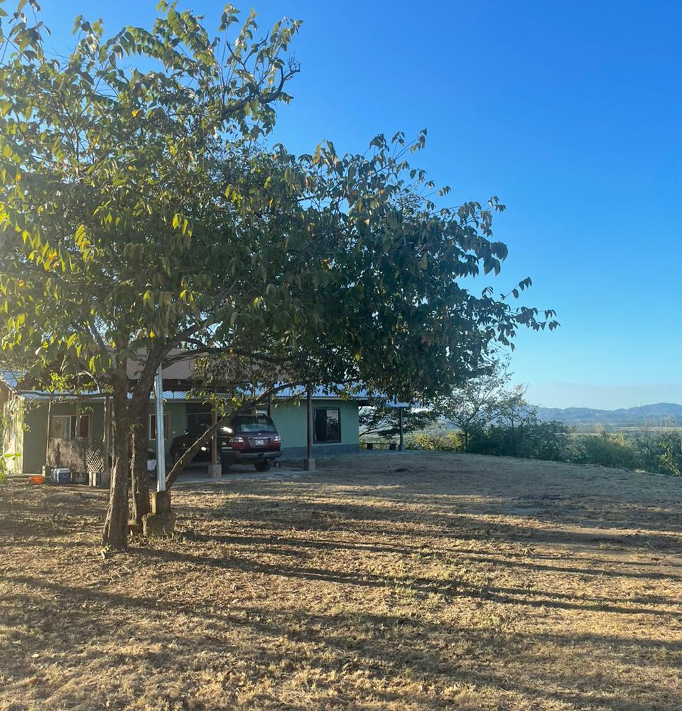 Homes for sale in Santa Cruz Costa Rica