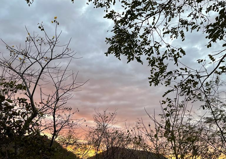 Homes for sale in Santa Cruz Costa Rica