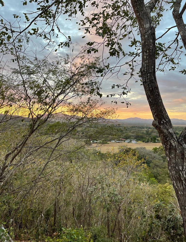 Homes for sale in Santa Cruz Costa Rica