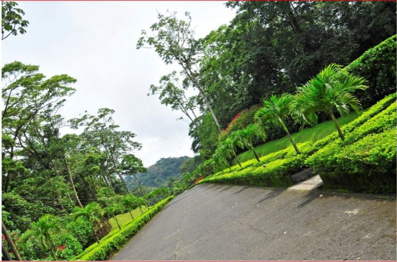 Hotel - B&B for sale in San Carlos Costa Rica