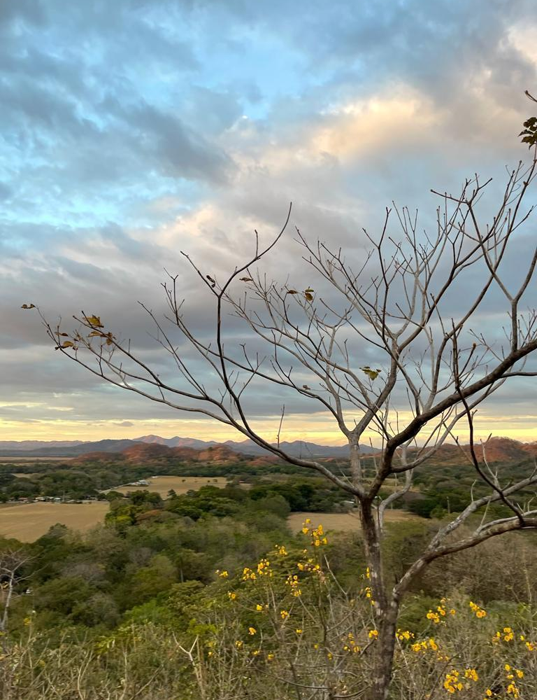 Homes for sale in Santa Cruz Costa Rica