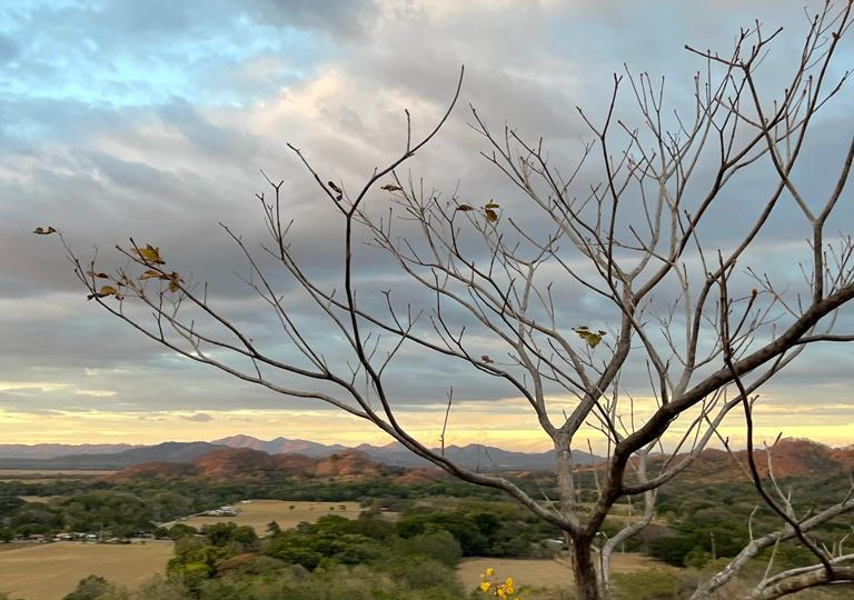 Homes for sale in Santa Cruz Costa Rica