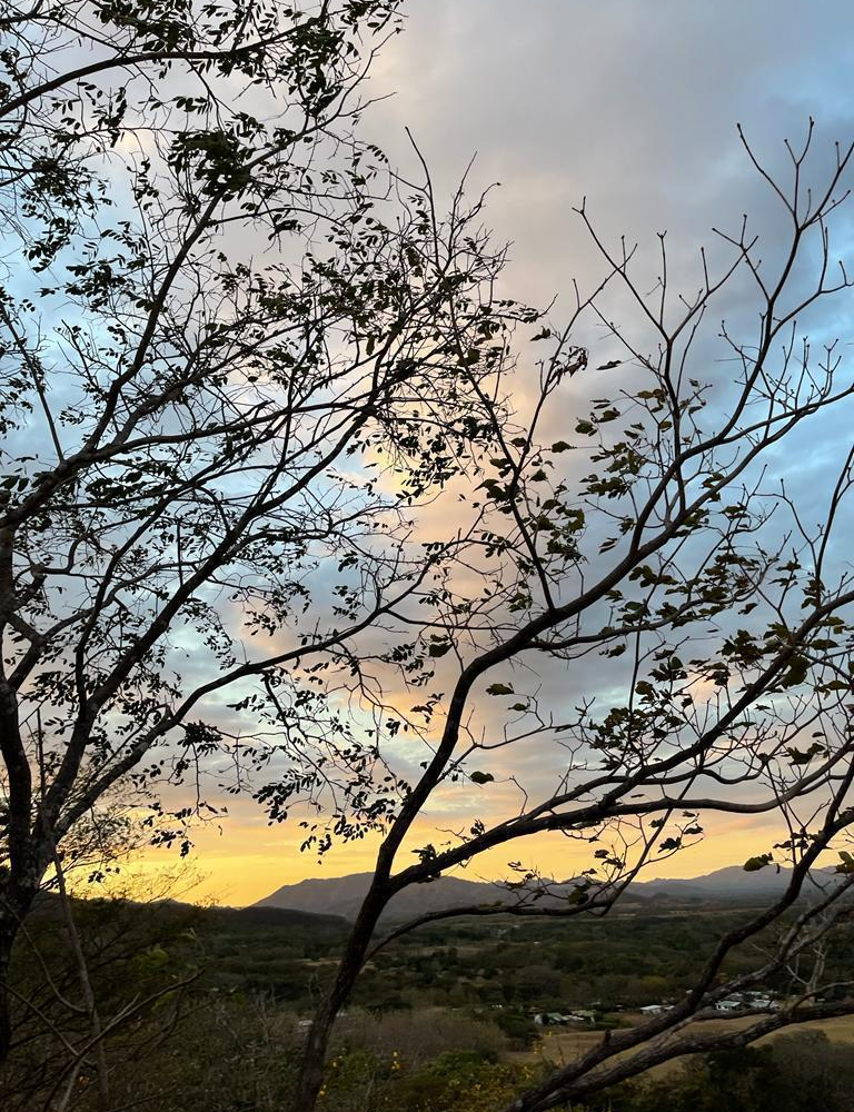 Homes for sale in Santa Cruz Costa Rica