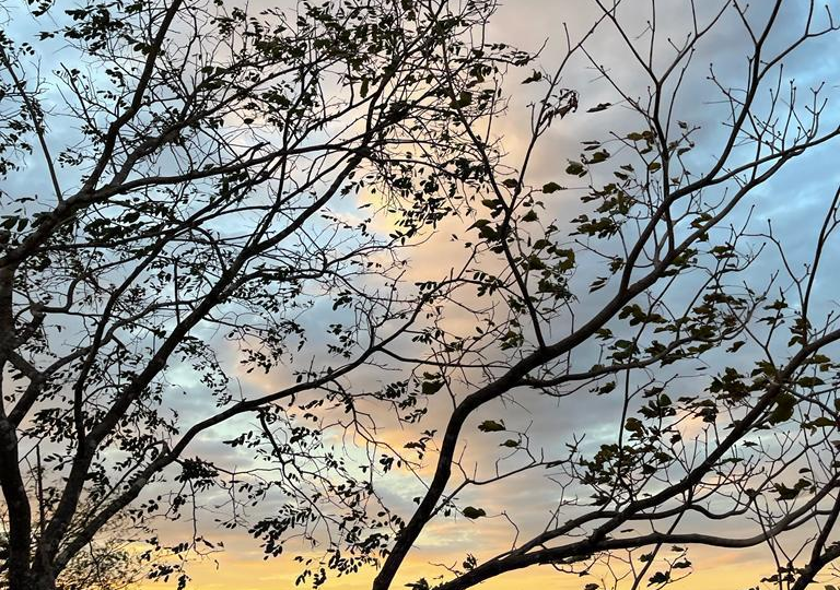 Homes for sale in Santa Cruz Costa Rica