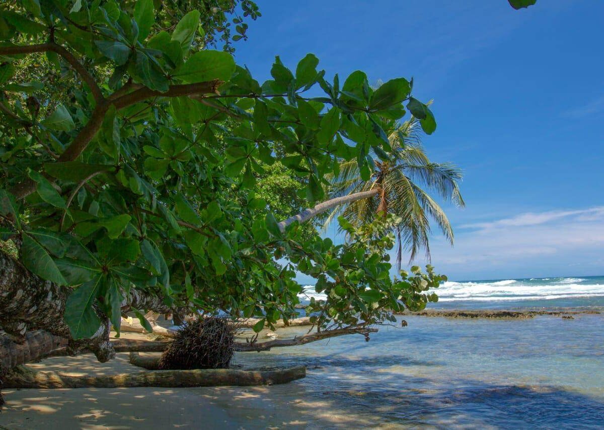 Homes for sale in Cocles Costa Rica