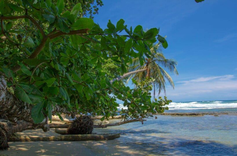 Homes for sale in Cocles Costa Rica