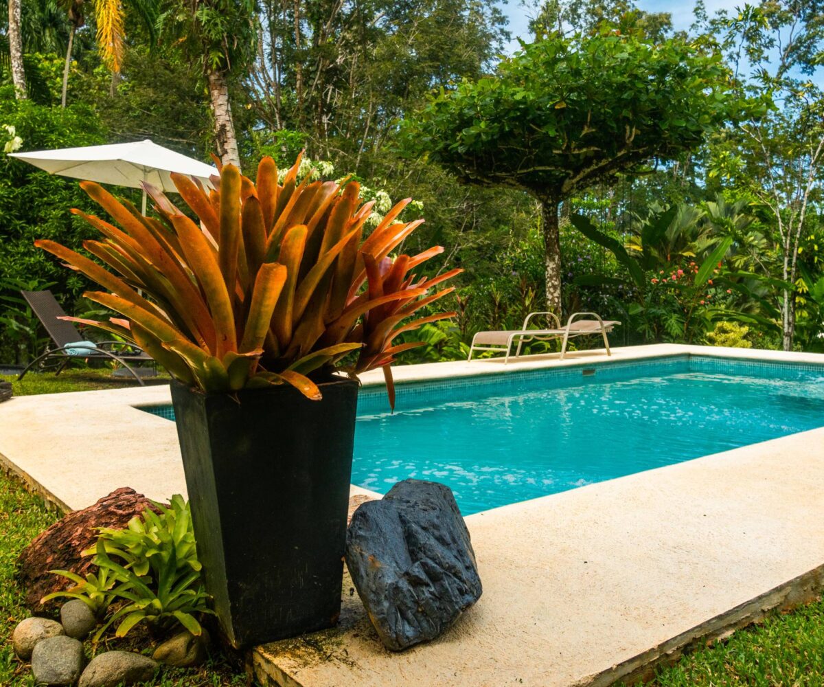 Homes for sale in Punta Uva Costa Rica