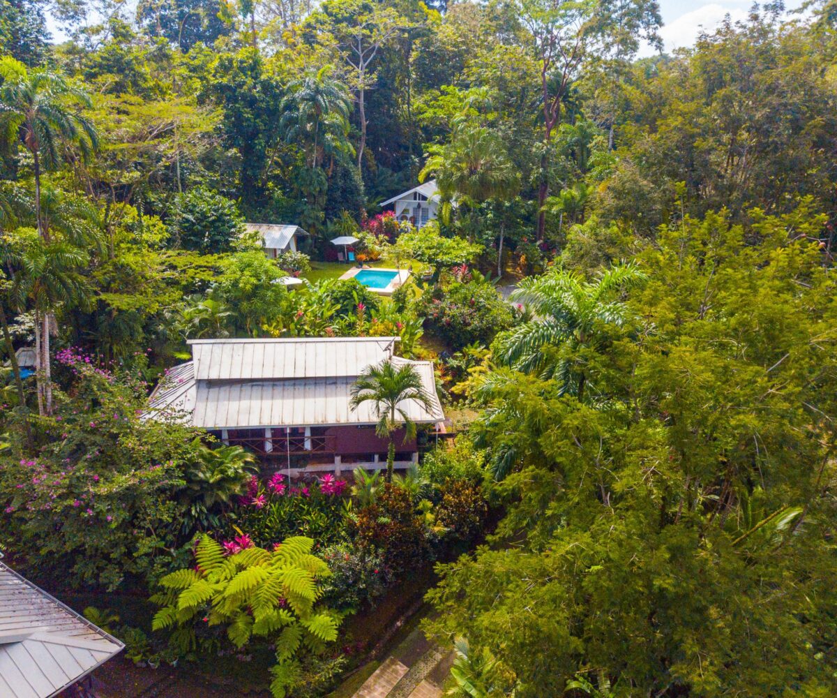 Homes for sale in Punta Uva Costa Rica