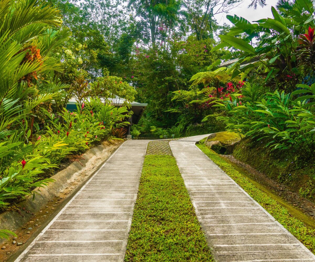 Homes for sale in Punta Uva Costa Rica