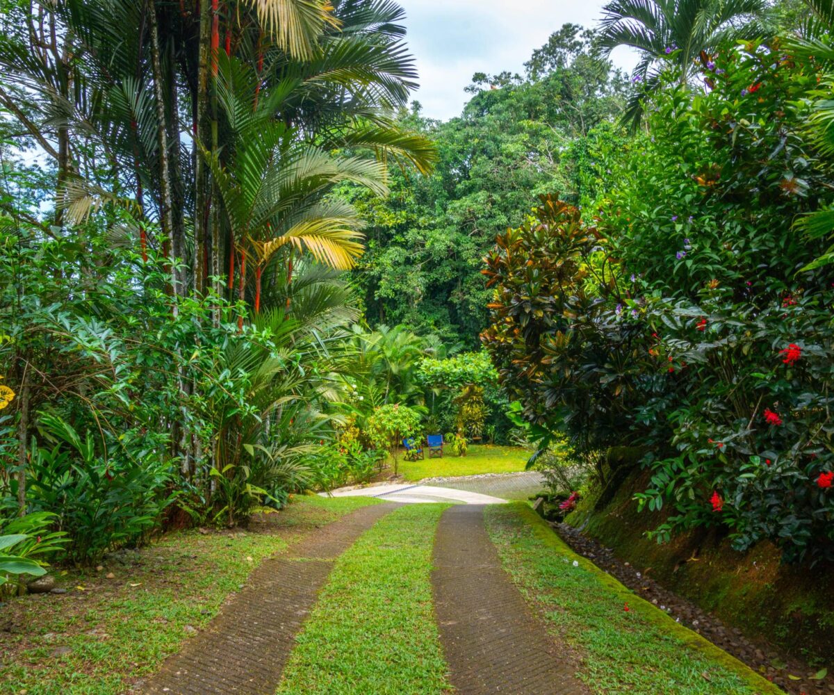 Homes for sale in Punta Uva Costa Rica