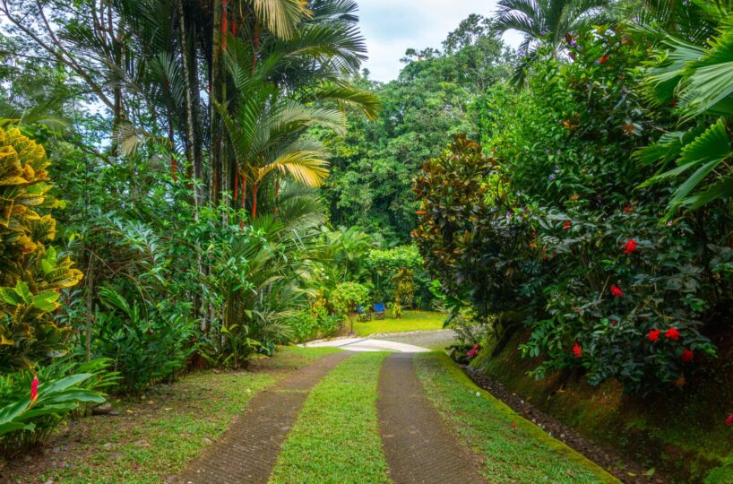 Homes for sale in Punta Uva Costa Rica