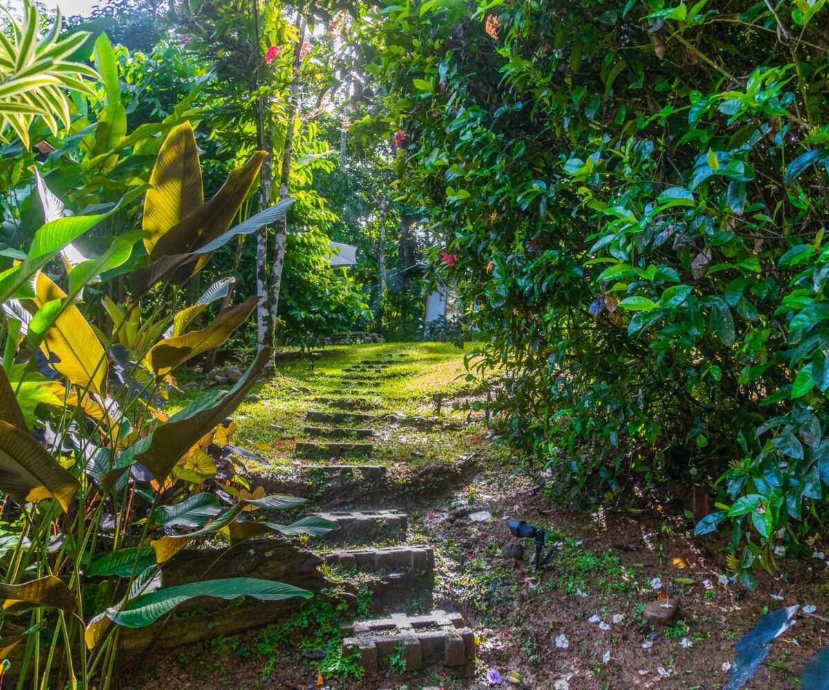 Homes for sale in Punta Uva Costa Rica