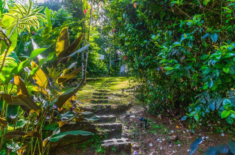 Homes for sale in Punta Uva Costa Rica