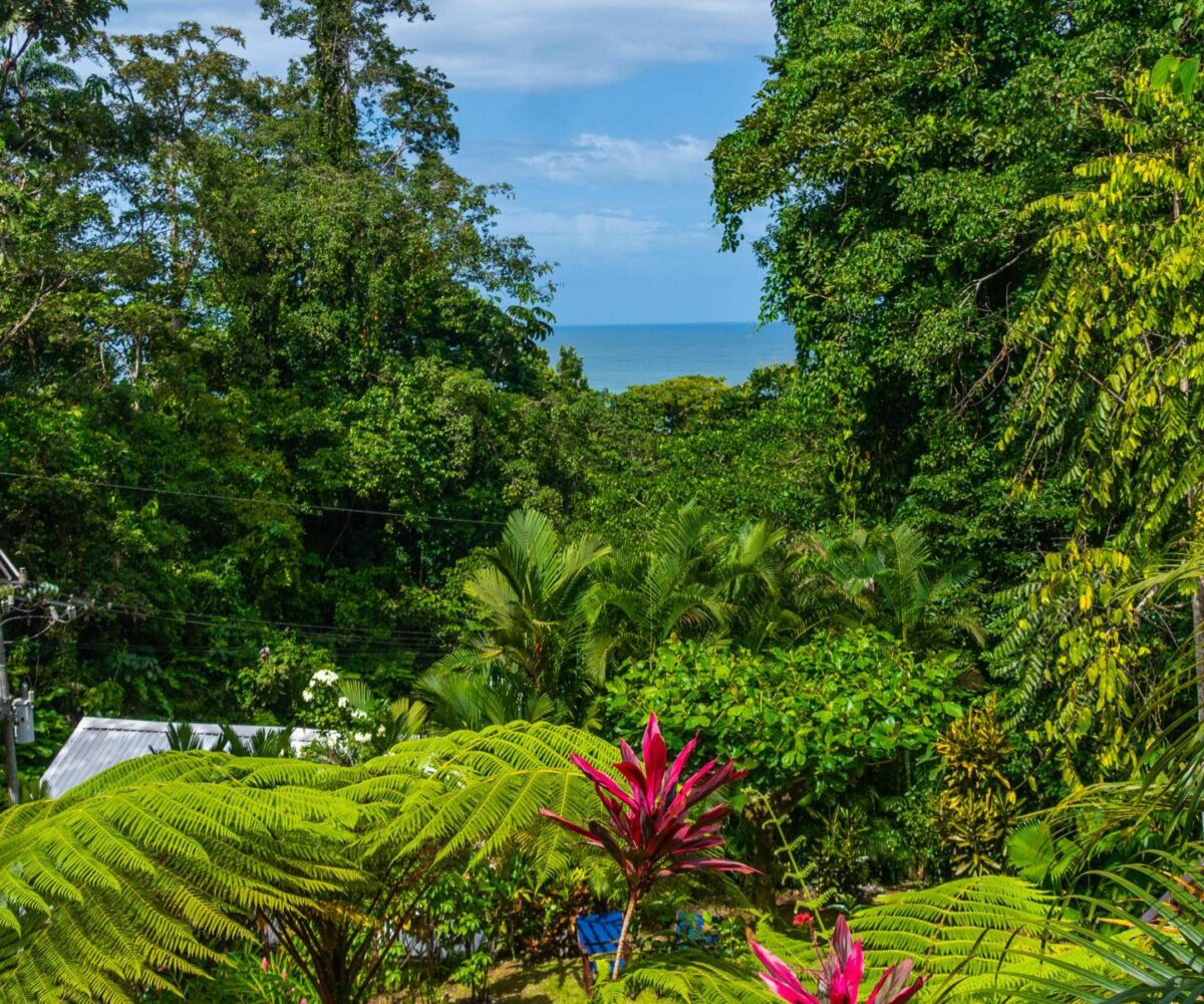 Homes for sale in Punta Uva Costa Rica