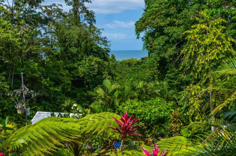 Homes for sale in Punta Uva Costa Rica