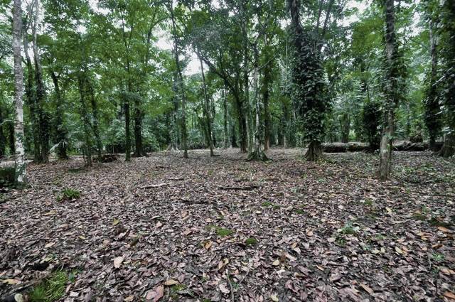 Building Lots for sale in Punta Uva Costa Rica