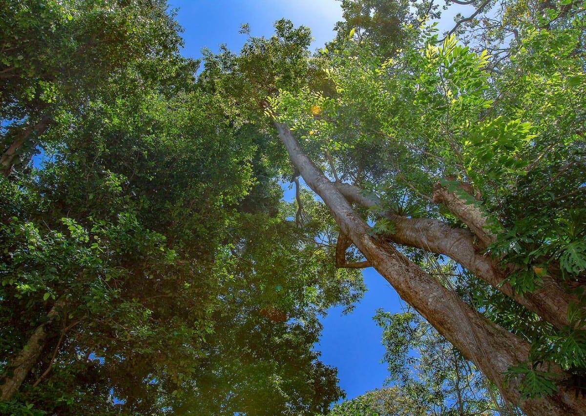 Homes for sale in Cocles Costa Rica