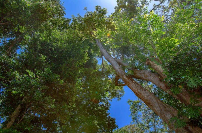 Homes for sale in Cocles Costa Rica