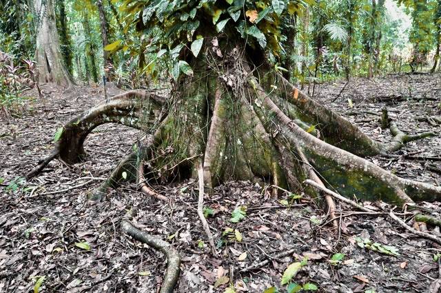 Building Lots for sale in Punta Uva Costa Rica