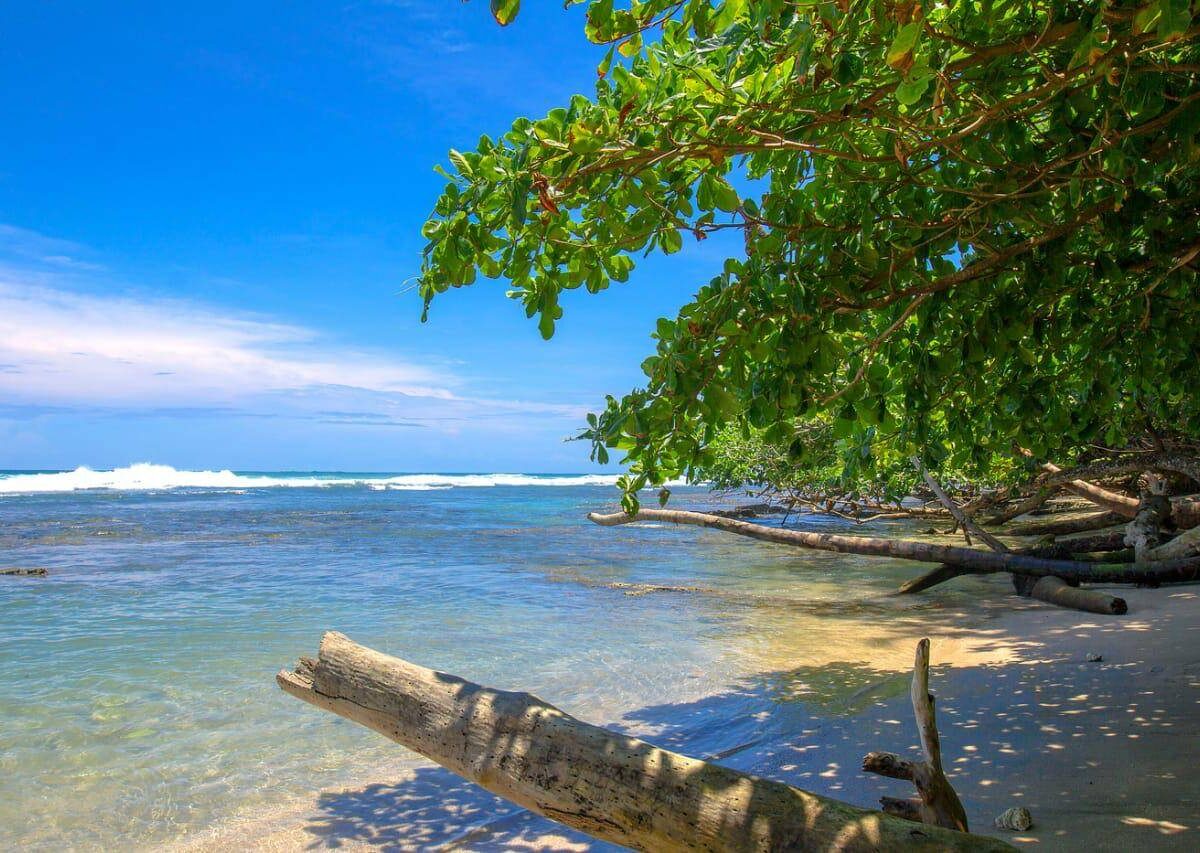 Homes for sale in Cocles Costa Rica