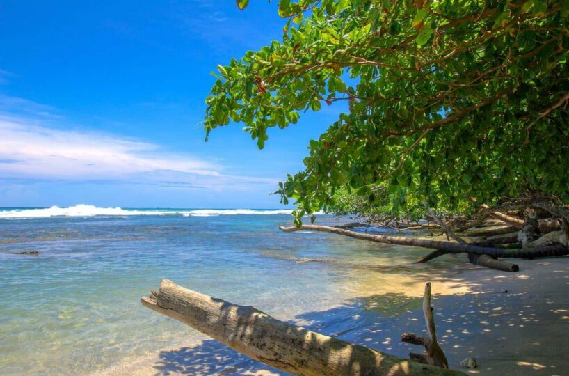 Homes for sale in Cocles Costa Rica