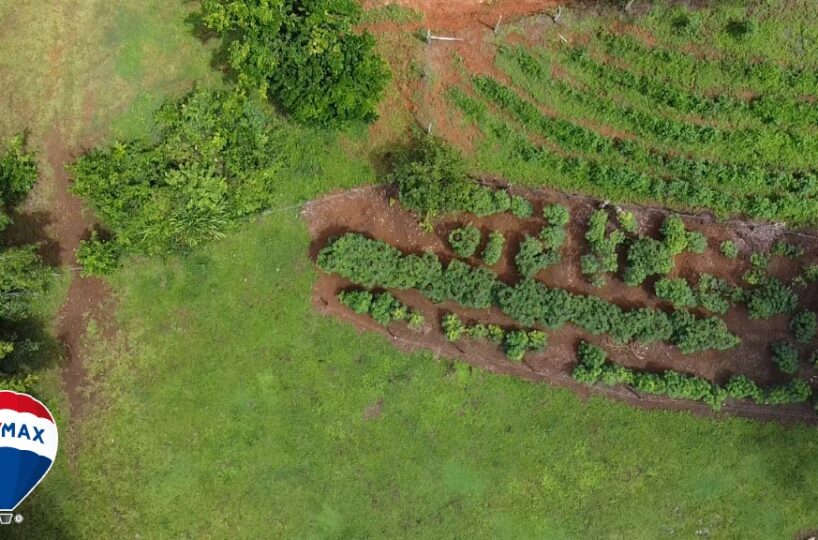 Building Lots for sale in San Antonio de Tulin Costa Rica