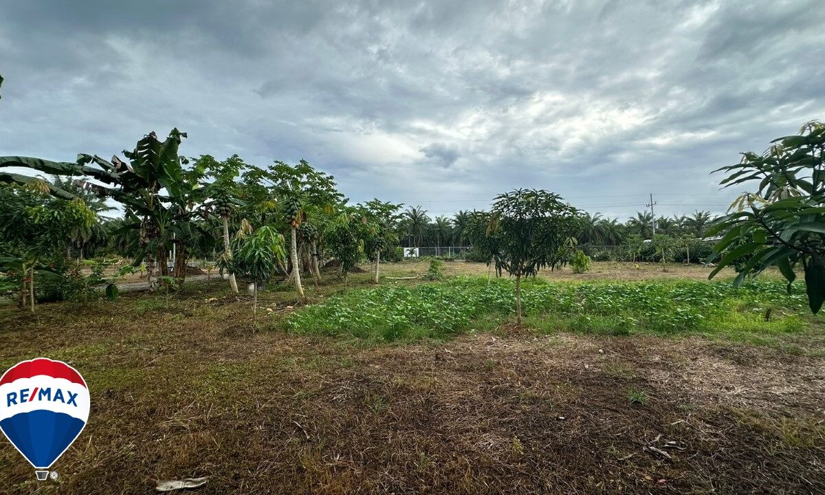 Building Lots for sale in Parrita Costa Rica