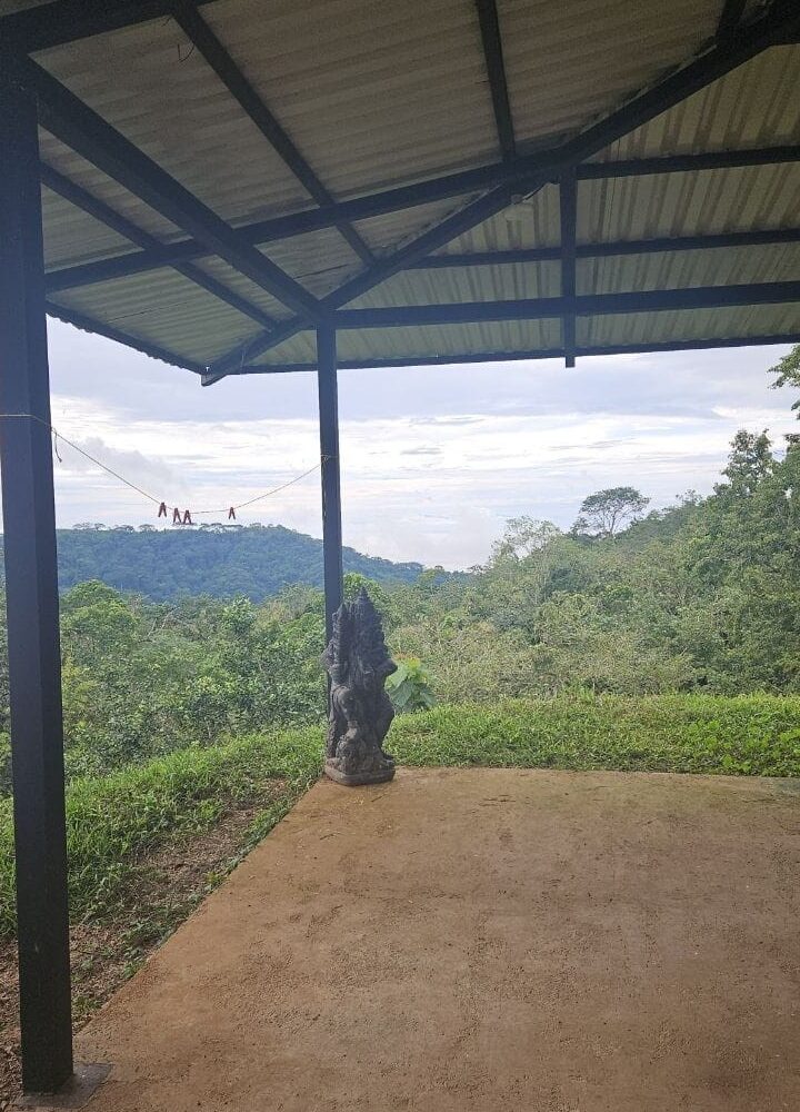 Homes for sale in Bijagual Costa Rica