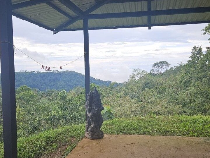 Homes for sale in Bijagual Costa Rica