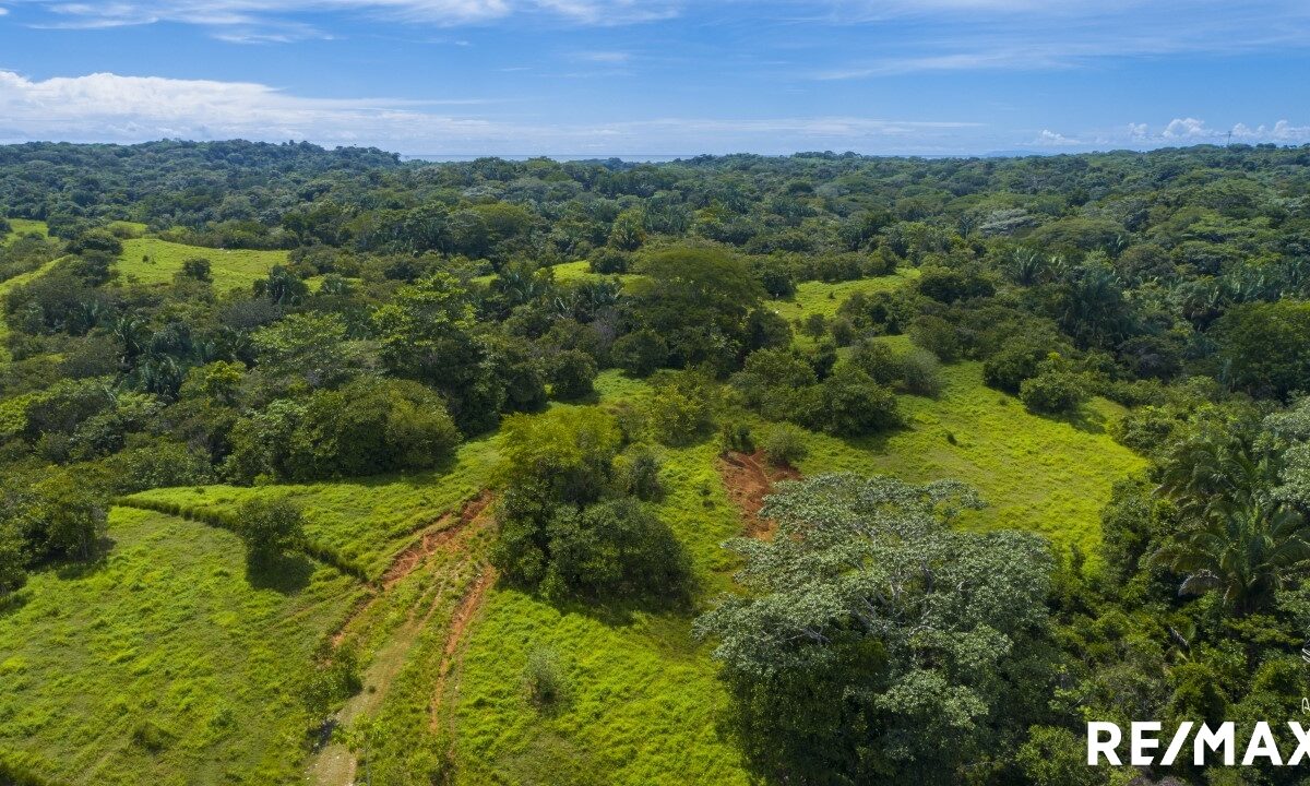 Building Lots for sale in Esterillos Costa Rica