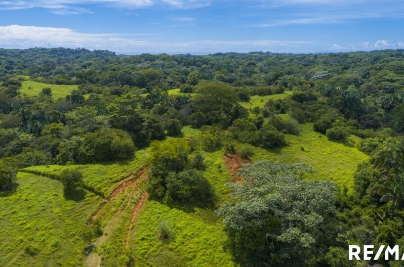 Building Lots for sale in Esterillos Costa Rica