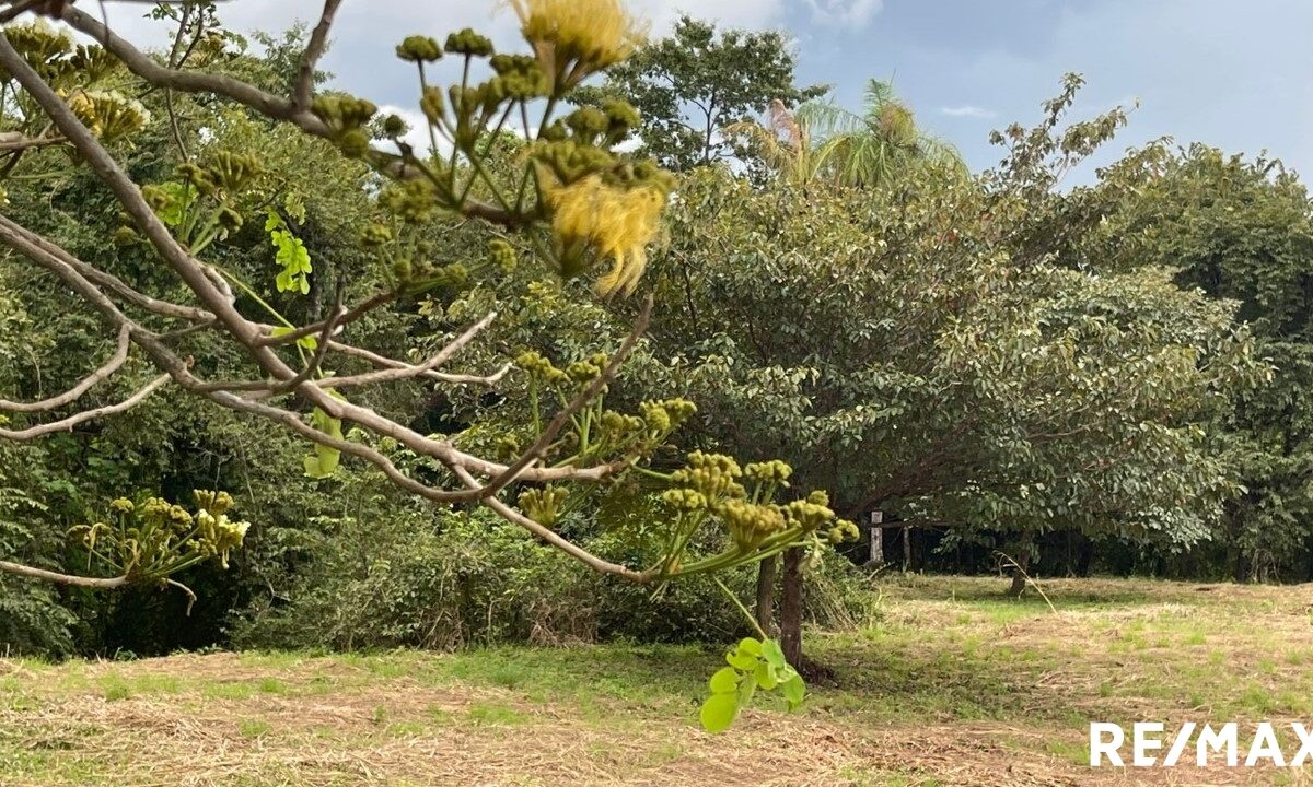 Building Lots for sale in Tarcoles Costa Rica