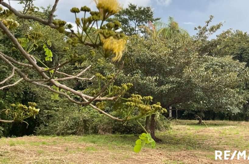 Building Lots for sale in Tarcoles Costa Rica