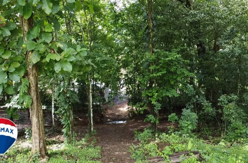 Building Lots for sale in San Antonio de Tulin Costa Rica