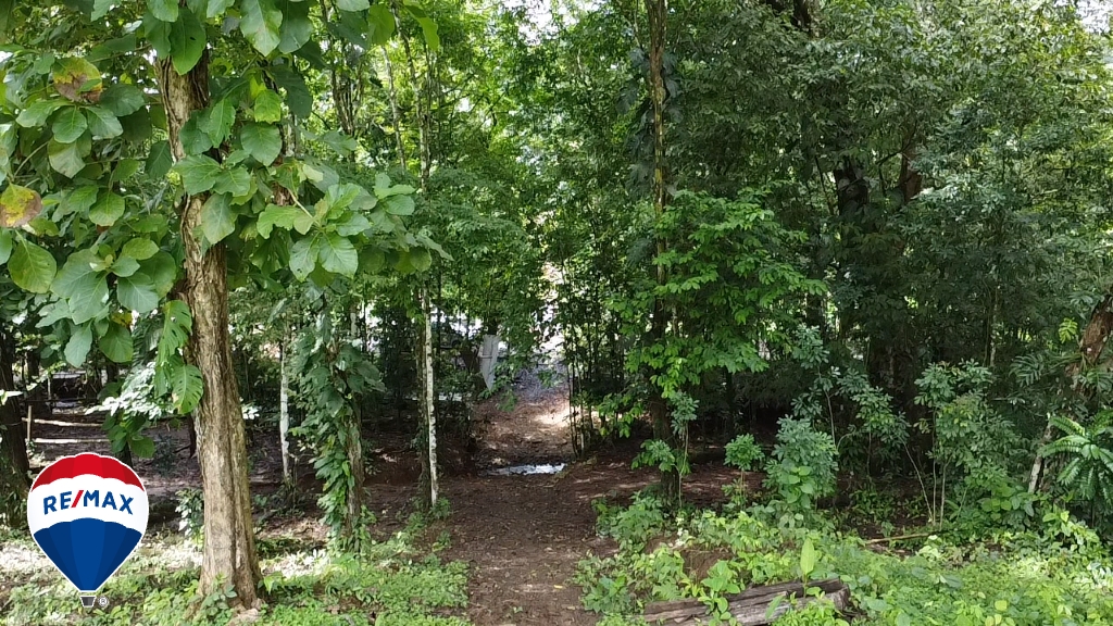 Building Lots for sale in San Antonio de Tulin Costa Rica