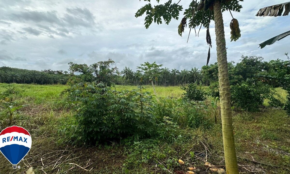 Building Lots for sale in Parrita Costa Rica