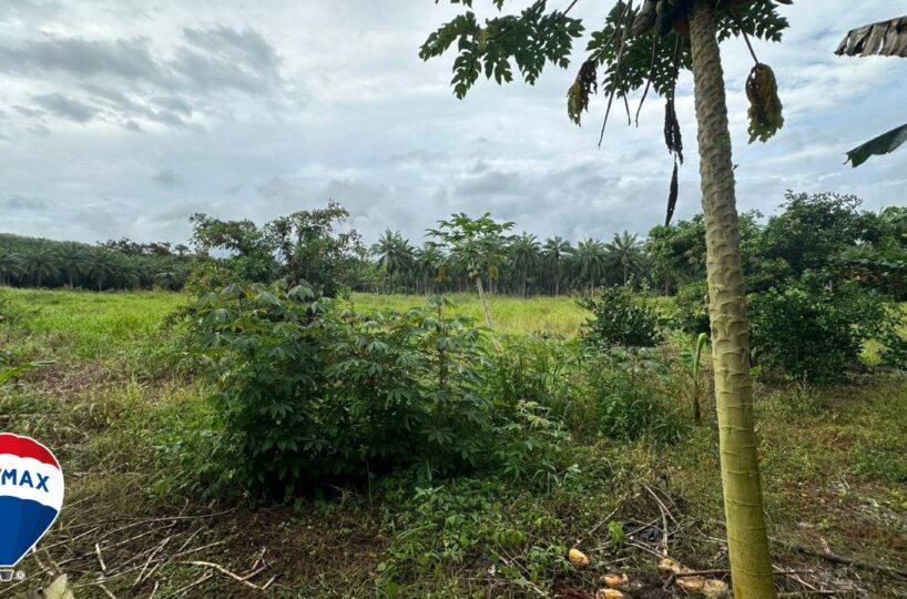 Building Lots for sale in Parrita Costa Rica