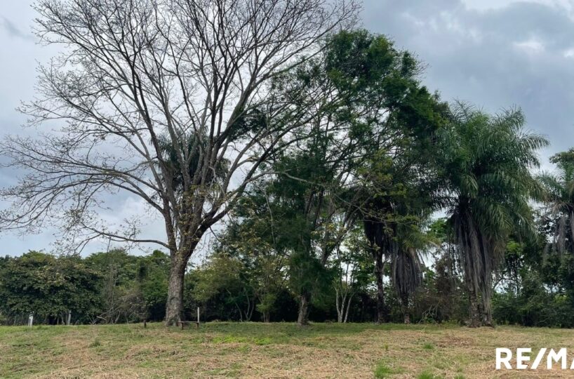 Building Lots for sale in Tarcoles Costa Rica