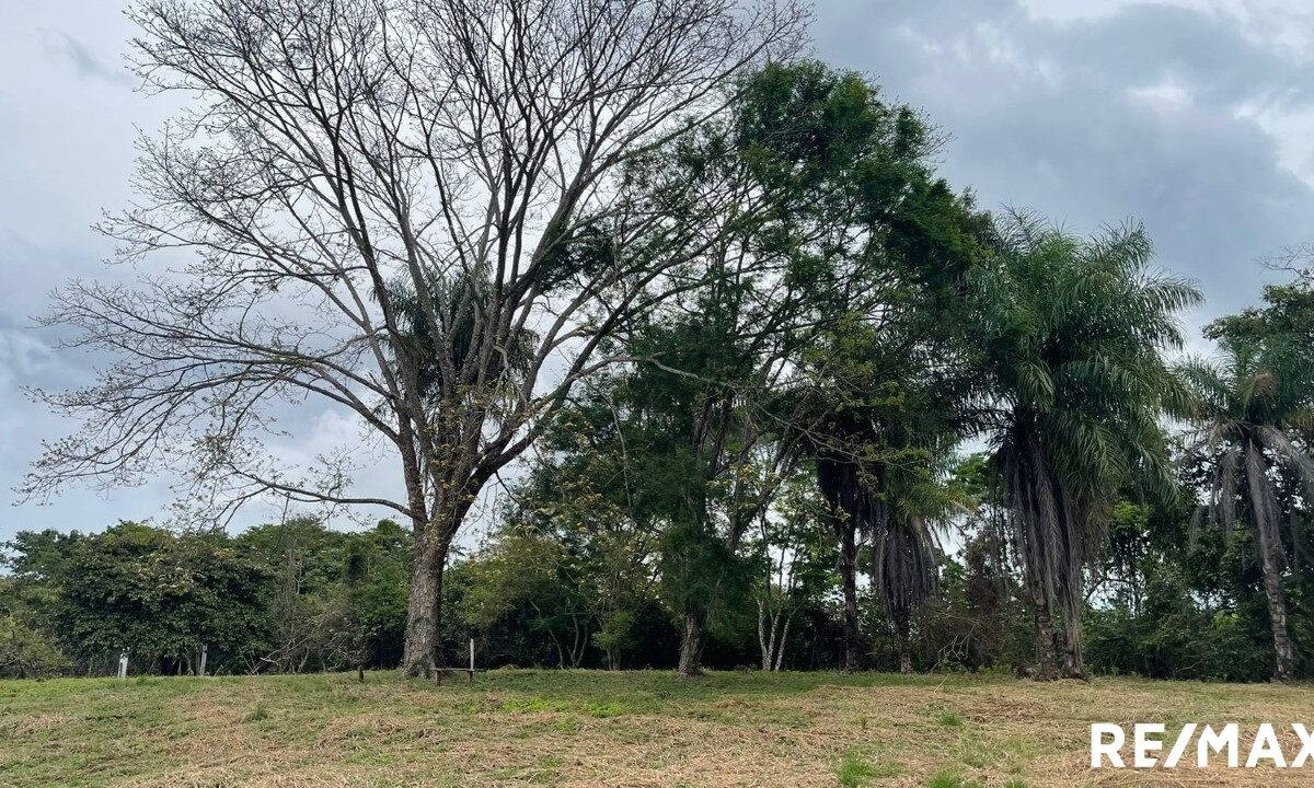 Building Lots for sale in Tarcoles Costa Rica