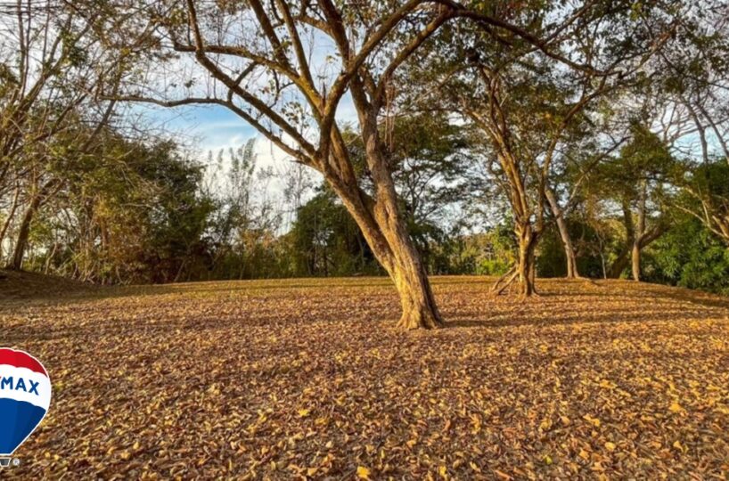 Building Lots for sale in Tarcoles Costa Rica