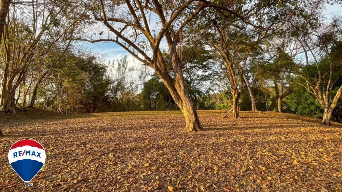 Building Lots for sale in Tarcoles Costa Rica