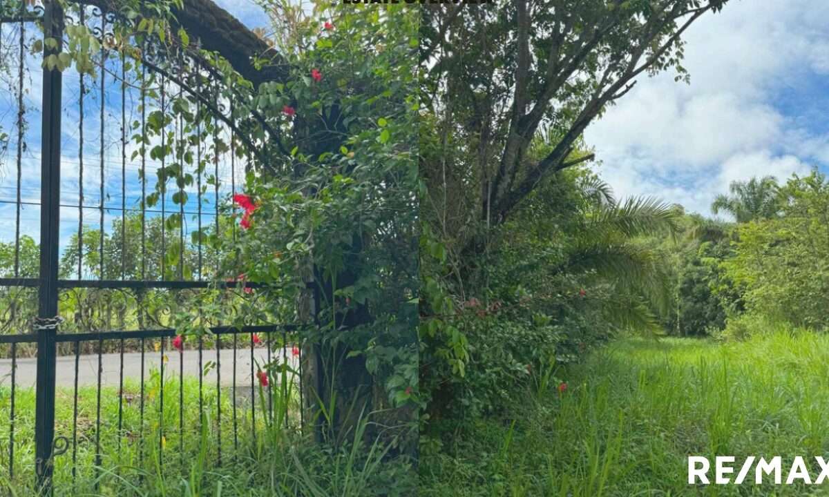 Development LandHotel - B&B for sale in Hermosa Beach Costa Rica