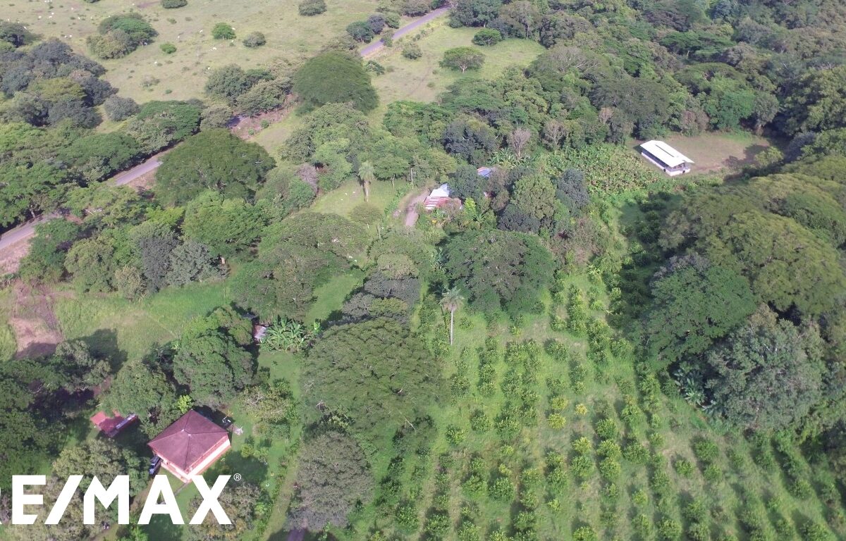 Development LandFarms and Ranches for sale in Puntarenas Costa Rica