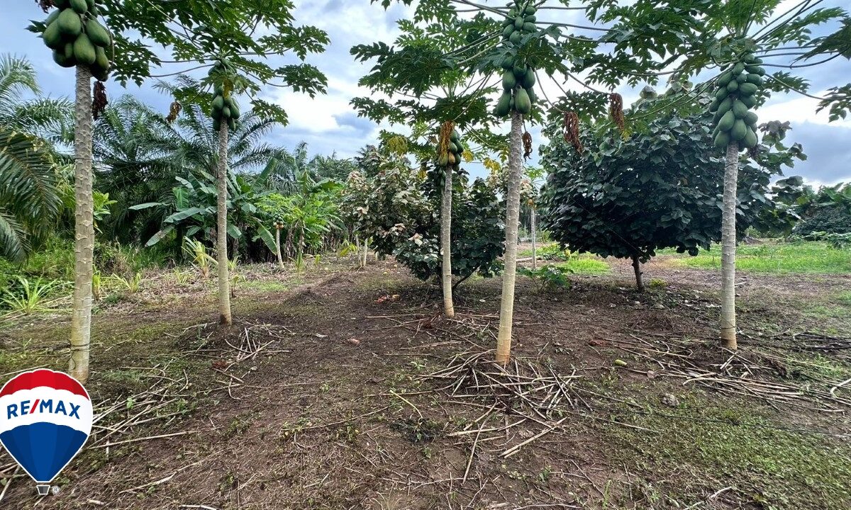 Building Lots for sale in Parrita Costa Rica