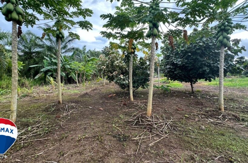 Building Lots for sale in Parrita Costa Rica