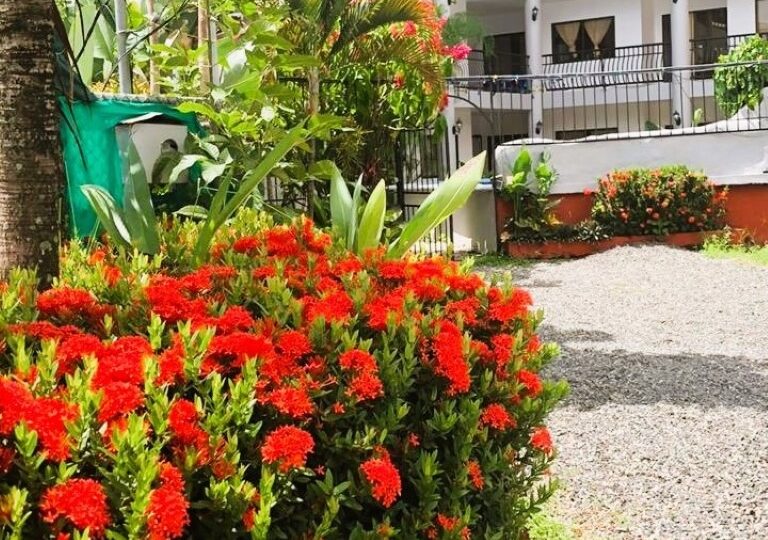 Hotel - B&B for sale in Jaco Beach Costa Rica