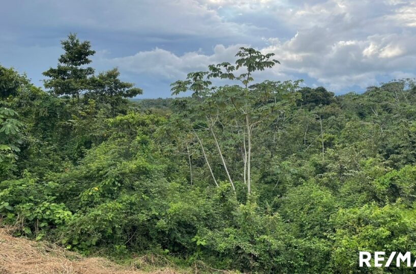 Building Lots for sale in Tarcoles Costa Rica