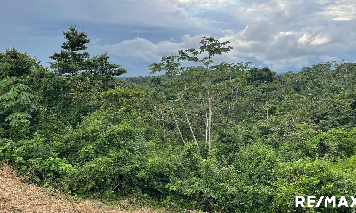 Building Lots for sale in Tarcoles Costa Rica